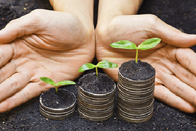 Mutual Fund